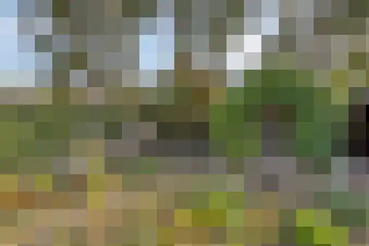 Frederik Hendriklaan 12 Hulst thumbnail 28