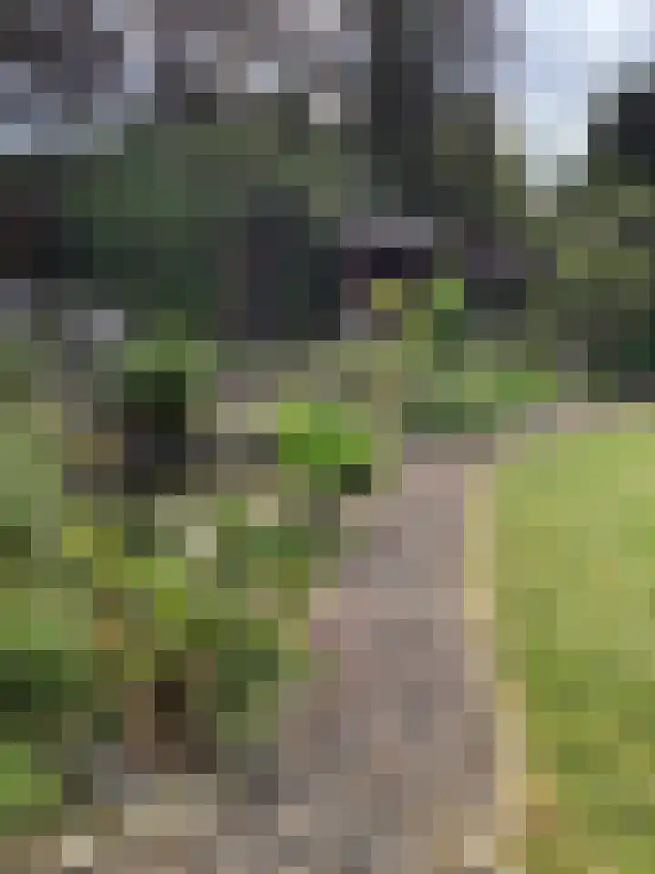 Frederik Hendriklaan 12 Hulst thumbnail 29