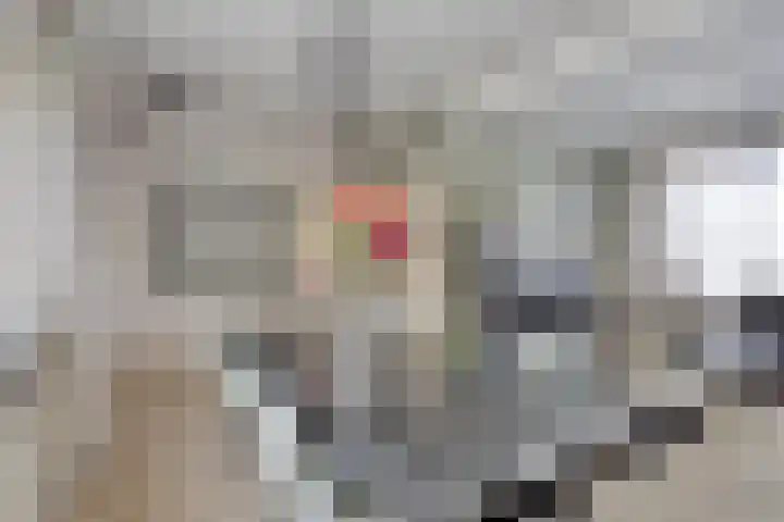 Frederik Hendriklaan 12 Hulst thumbnail 9