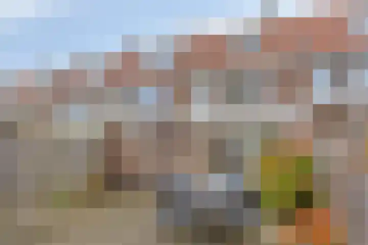 Frederik Hendriklaan 12 's-Hertogenbosch thumbnail 11