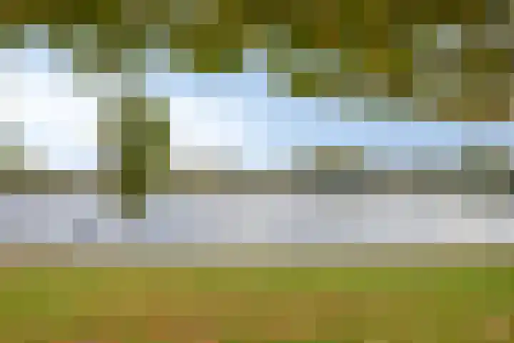 Frederik Hendriklaan 12 's-Hertogenbosch thumbnail 29