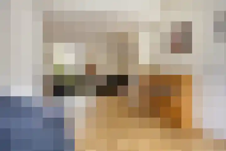 Frederik Hendriklaan 12 's-Hertogenbosch thumbnail 5