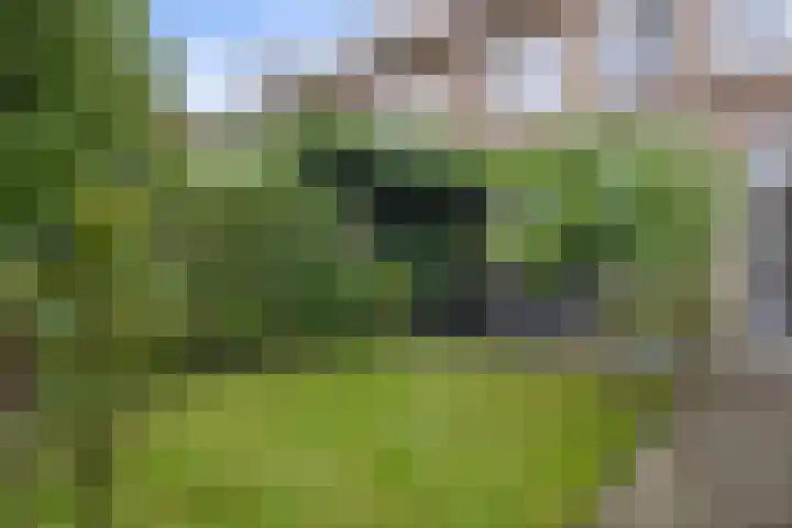 Frederik Hendriklaan 122 's-Hertogenbosch thumbnail 35