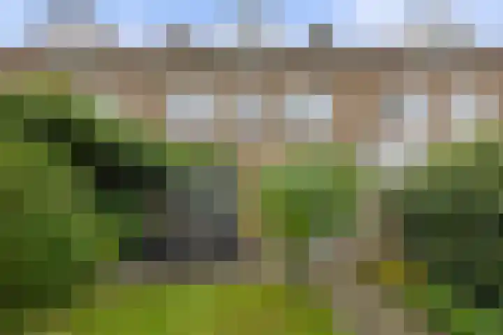 Frederik Hendriklaan 122 's-Hertogenbosch thumbnail 4