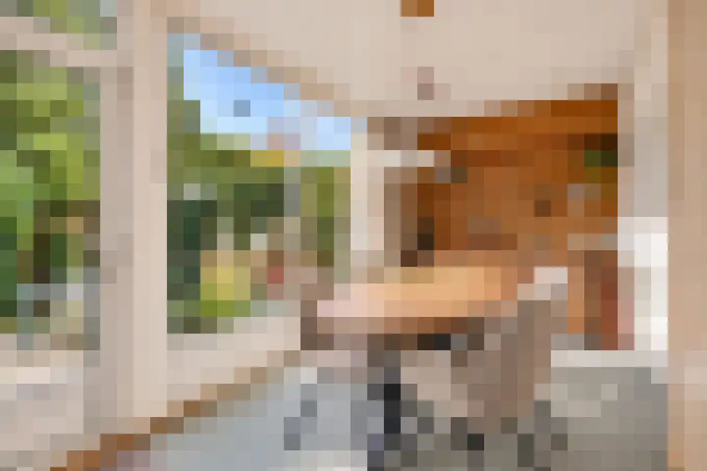 Frederik Hendriklaan 133 's-Hertogenbosch thumbnail 8