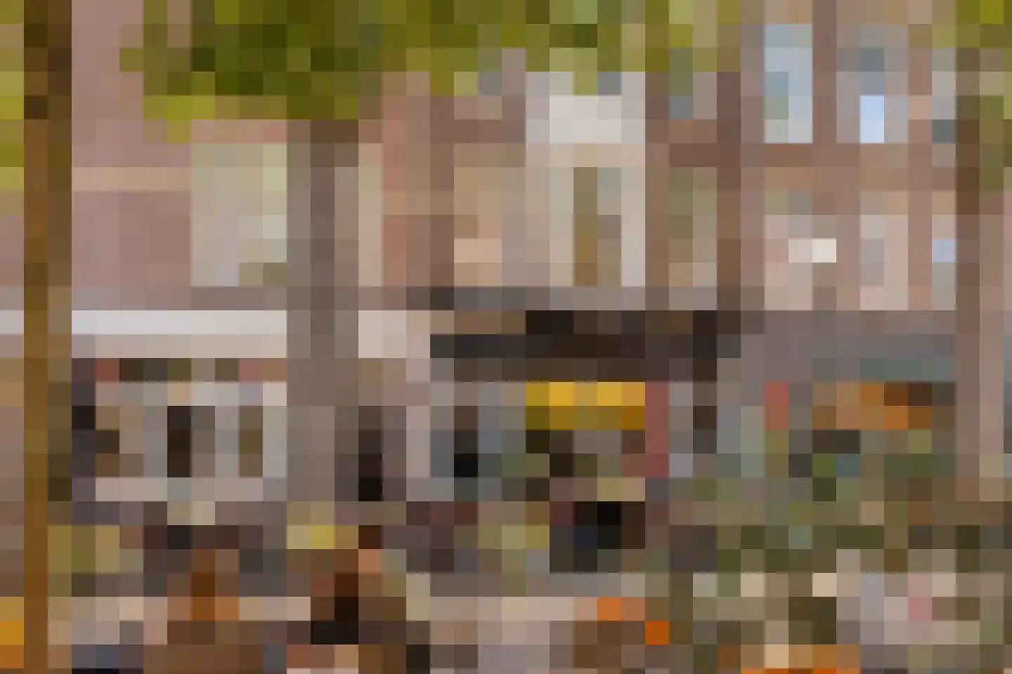 Frederik Hendriklaan 135 A Den Haag thumbnail 29