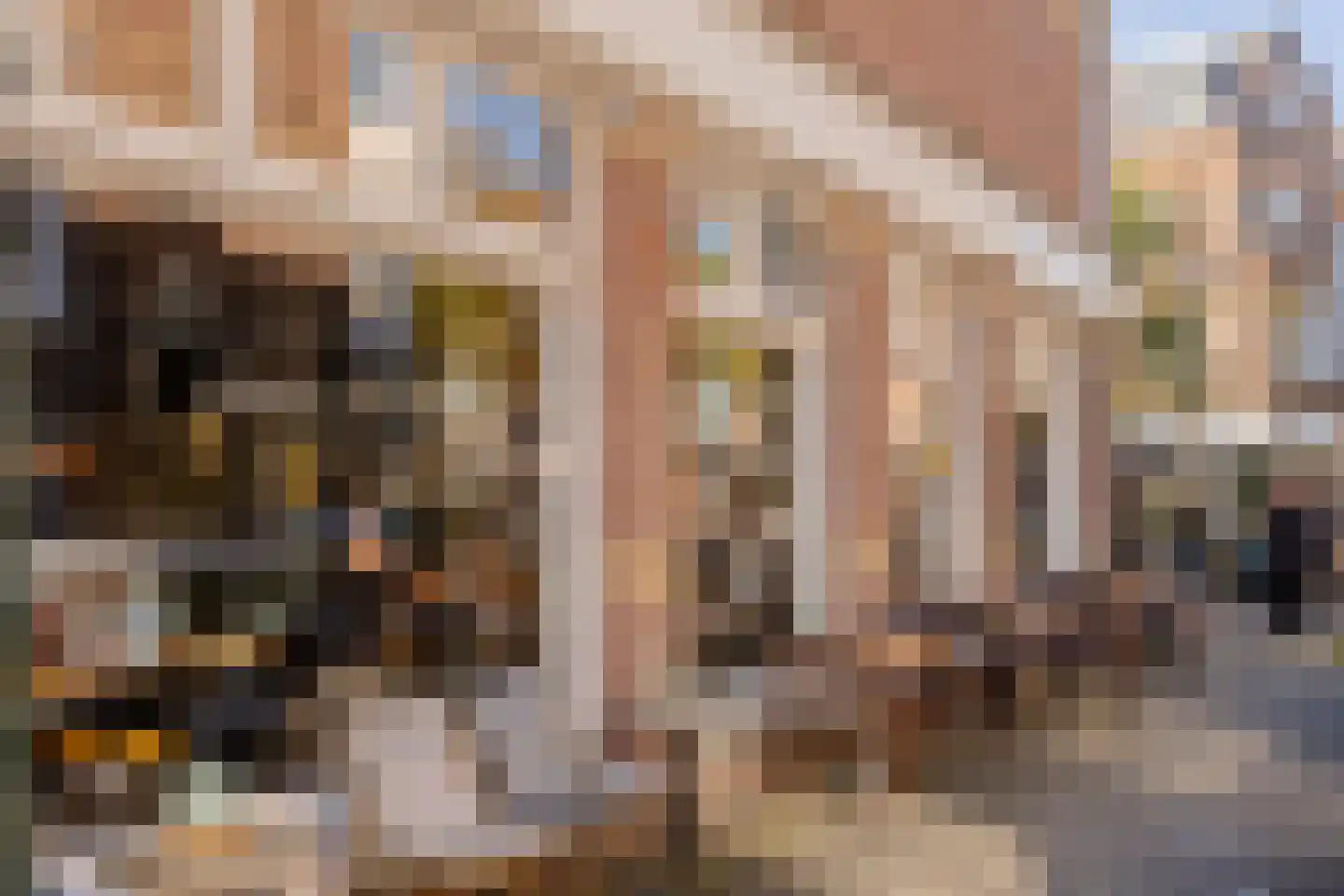 Frederik Hendriklaan 135 A Den Haag thumbnail 30