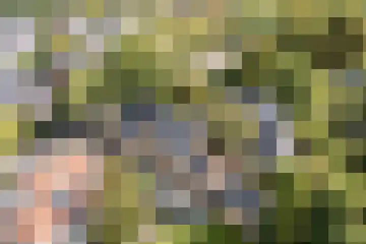 Frederik Hendriklaan 14 Haarlem thumbnail 4
