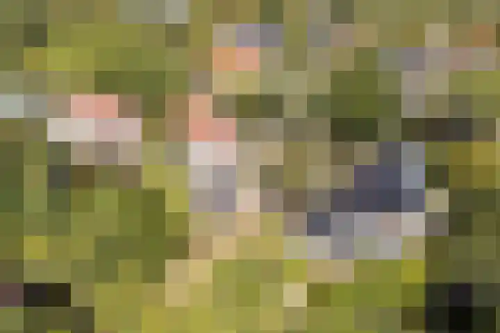 Frederik Hendriklaan 14 Haarlem thumbnail 7