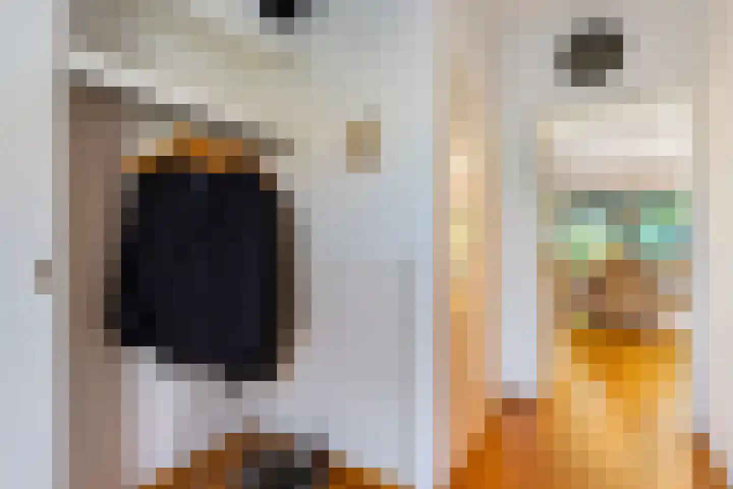 Frederik Hendriklaan 14 Woerden thumbnail 5