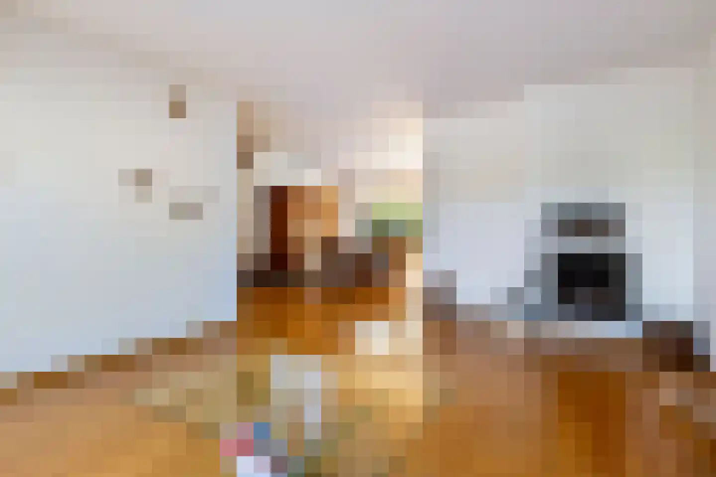 Frederik Hendriklaan 14 Woerden thumbnail 7