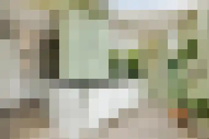 Frederik Hendriklaan 141 's-Hertogenbosch thumbnail 10