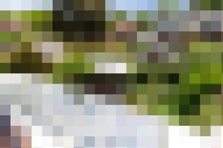 Frederik Hendriklaan 141 's-Hertogenbosch thumbnail 19