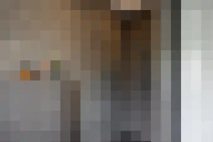 Frederik Hendriklaan 141 's-Hertogenbosch thumbnail 23