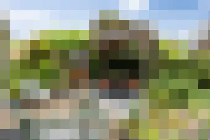 Frederik Hendriklaan 141 's-Hertogenbosch thumbnail 30