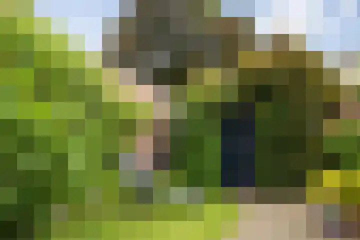 Frederik Hendriklaan 141 's-Hertogenbosch thumbnail 31