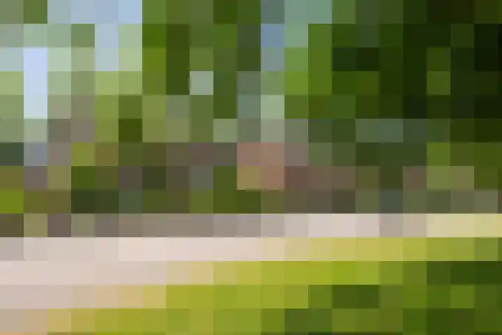 Frederik Hendriklaan 141 's-Hertogenbosch thumbnail 33
