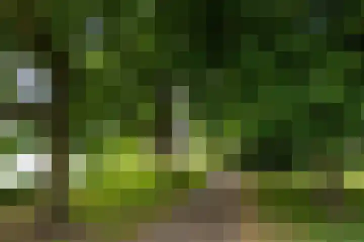 Frederik Hendriklaan 141 's-Hertogenbosch thumbnail 37