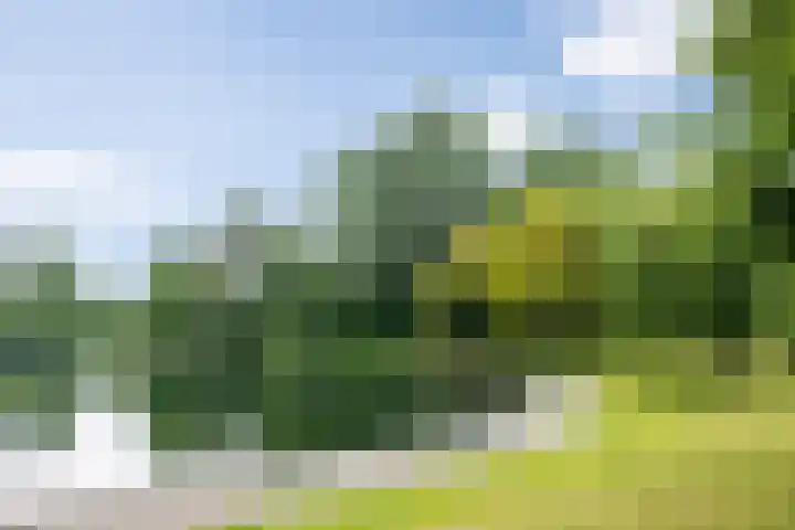 Frederik Hendriklaan 141 's-Hertogenbosch thumbnail 38