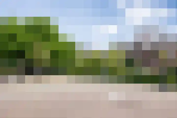 Frederik Hendriklaan 141 's-Hertogenbosch thumbnail 39