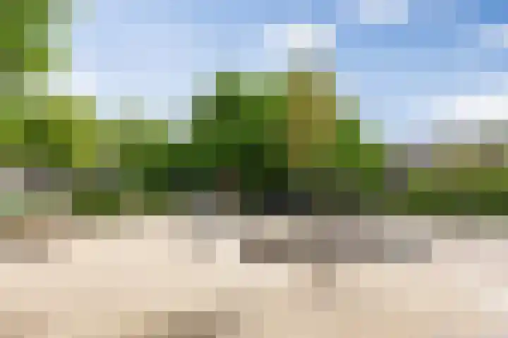 Frederik Hendriklaan 141 's-Hertogenbosch thumbnail 40