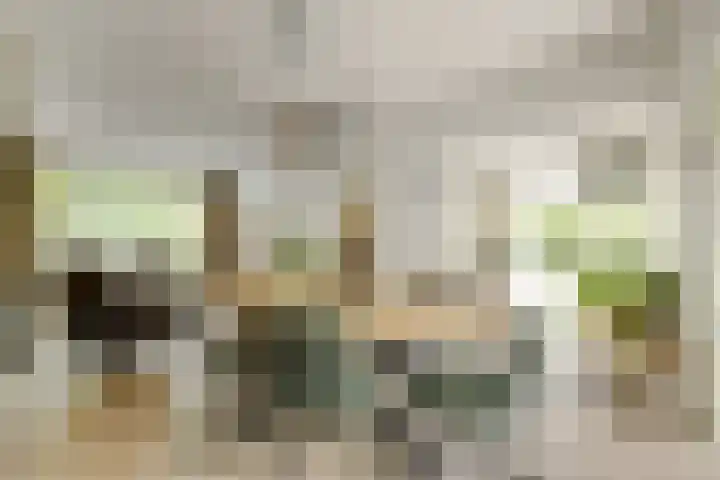 Frederik Hendriklaan 141 's-Hertogenbosch thumbnail 5