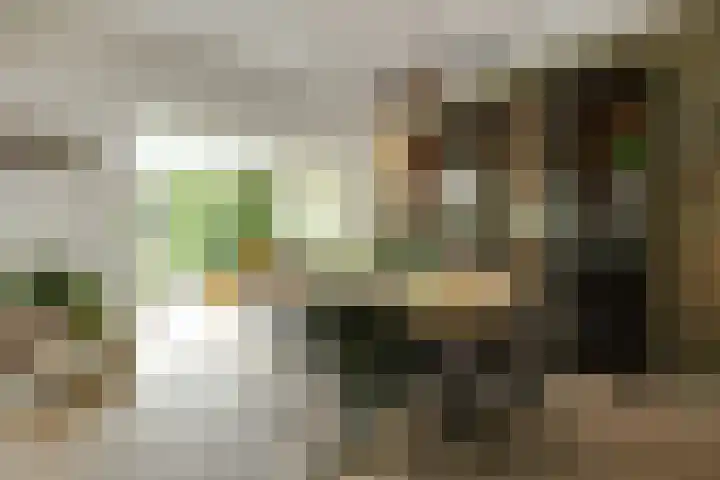 Frederik Hendriklaan 141 's-Hertogenbosch thumbnail 6