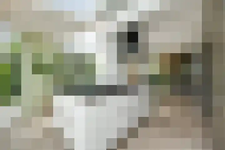 Frederik Hendriklaan 141 's-Hertogenbosch thumbnail 8