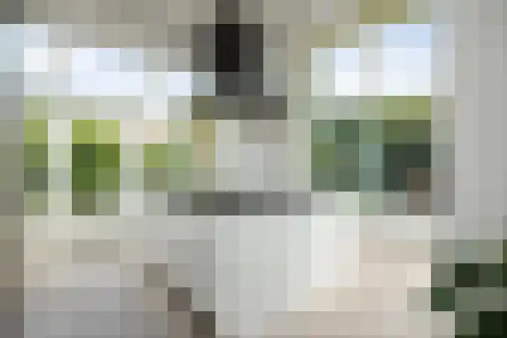 Frederik Hendriklaan 141 's-Hertogenbosch thumbnail 9