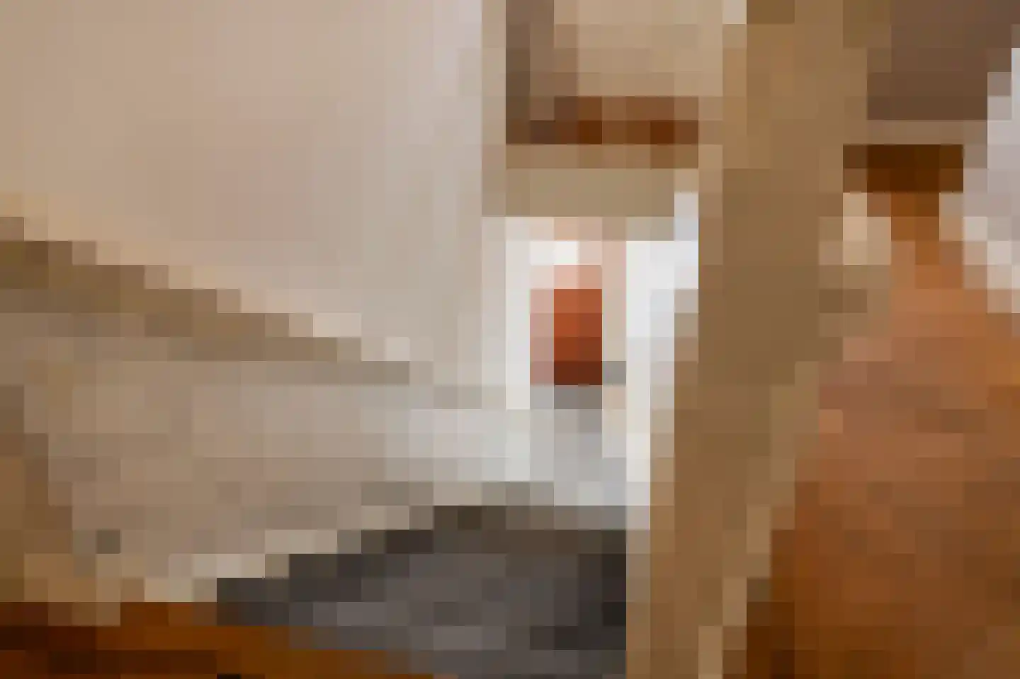 Frederik Hendriklaan 148 Den Haag thumbnail 5