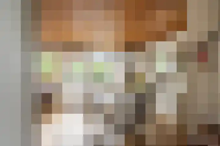 Frederik Hendriklaan 17 Vlaardingen thumbnail 11