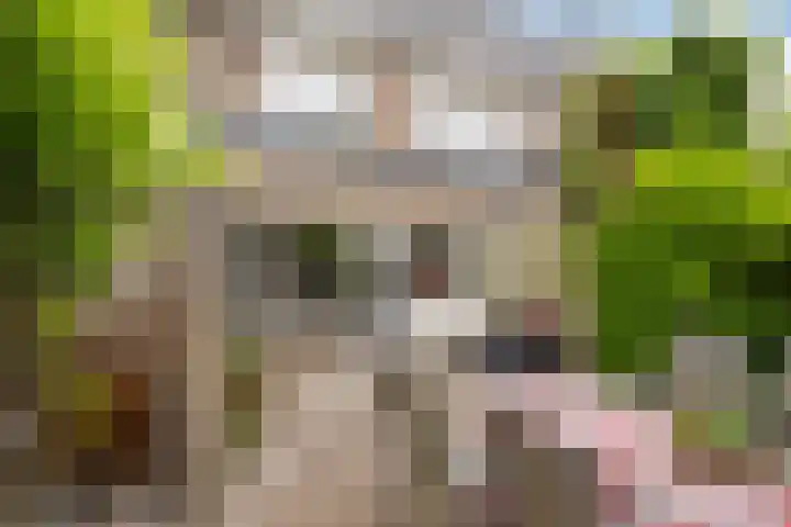 Frederik Hendriklaan 17 Vlaardingen thumbnail 17
