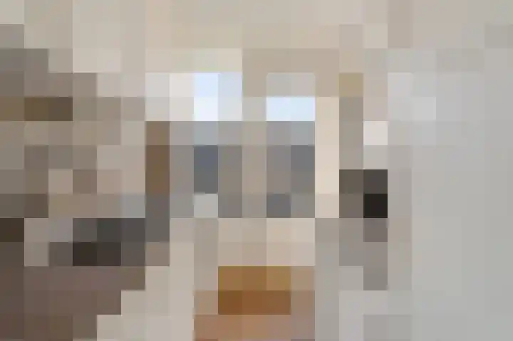 Frederik Hendriklaan 19 Zoetermeer thumbnail 19
