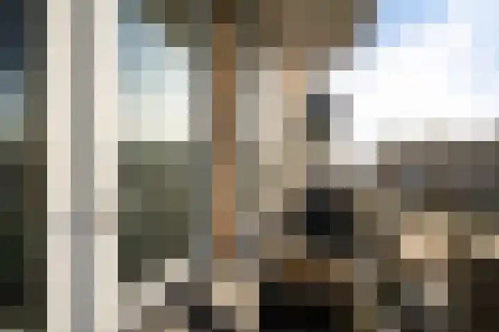 Frederik Hendriklaan 19 Zoetermeer thumbnail 28