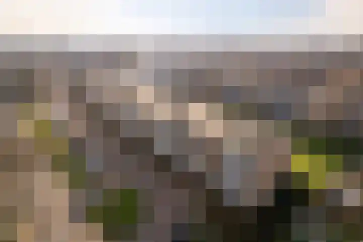 Frederik Hendriklaan 19 Zoetermeer thumbnail 5