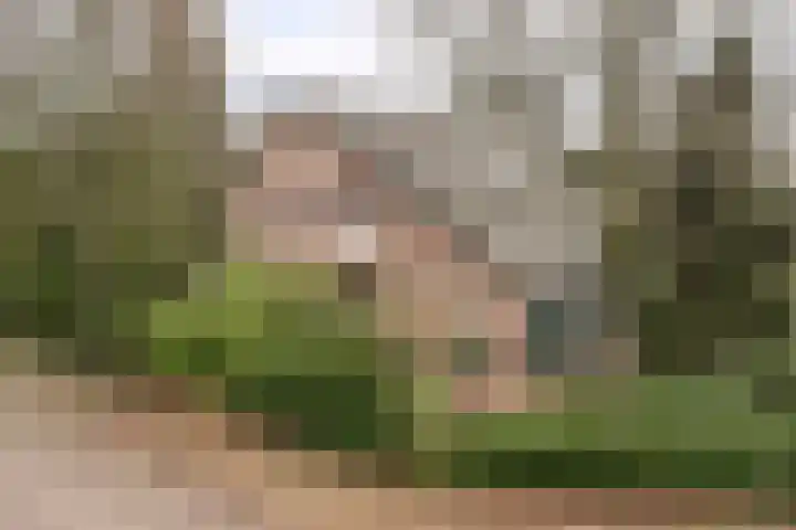 Frederik Hendriklaan 2 Rosmalen thumbnail 51