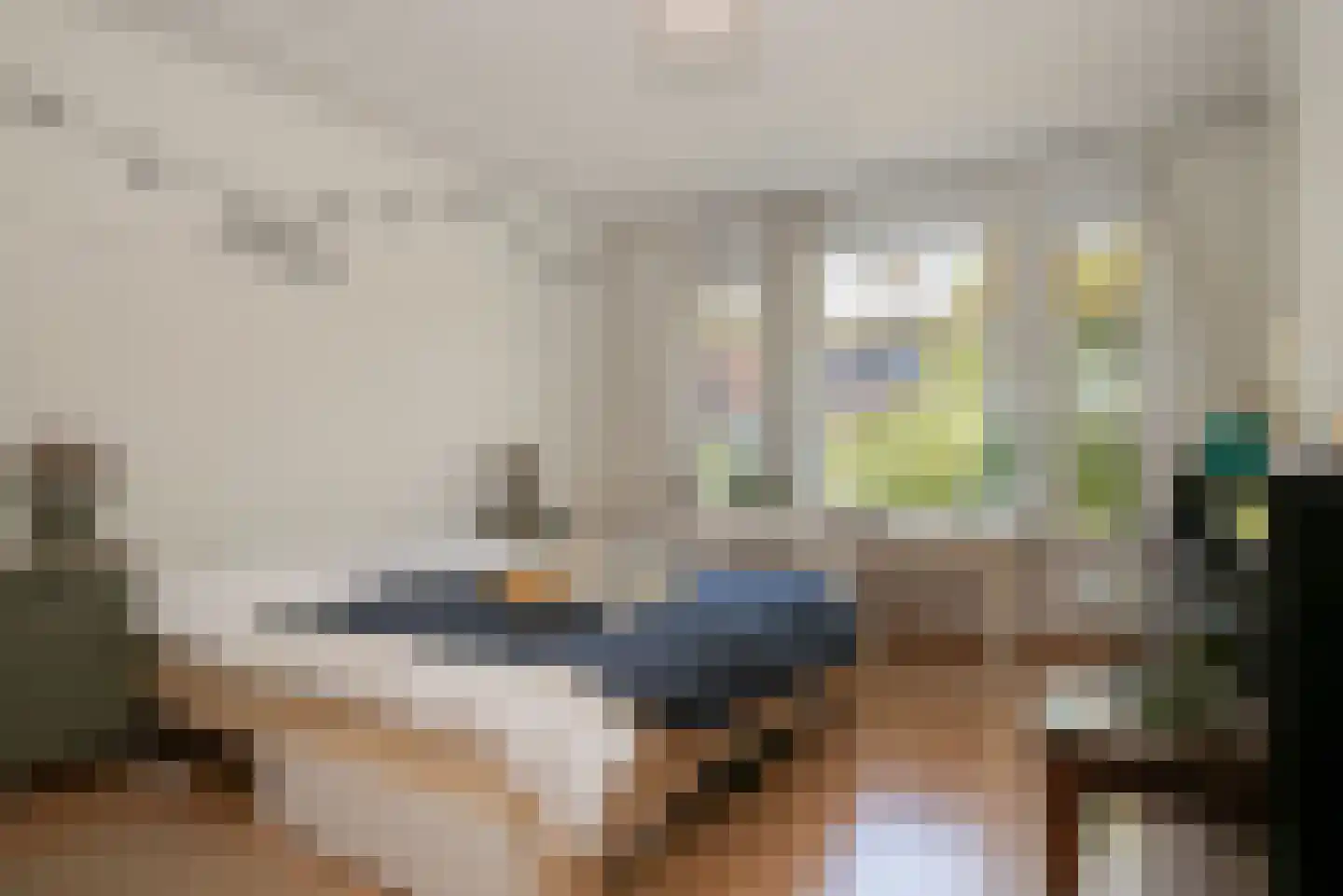 Frederik Hendriklaan 200 Den Haag thumbnail 28