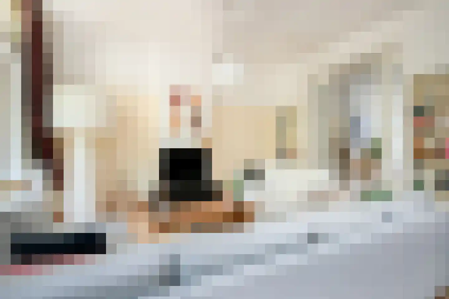 Frederik Hendriklaan 200 Den Haag thumbnail 6