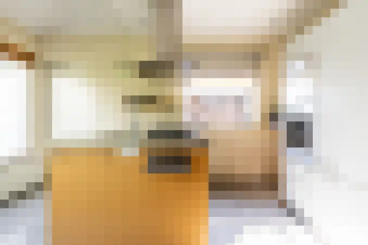 Frederik Hendriklaan 21 Haarlem thumbnail 17