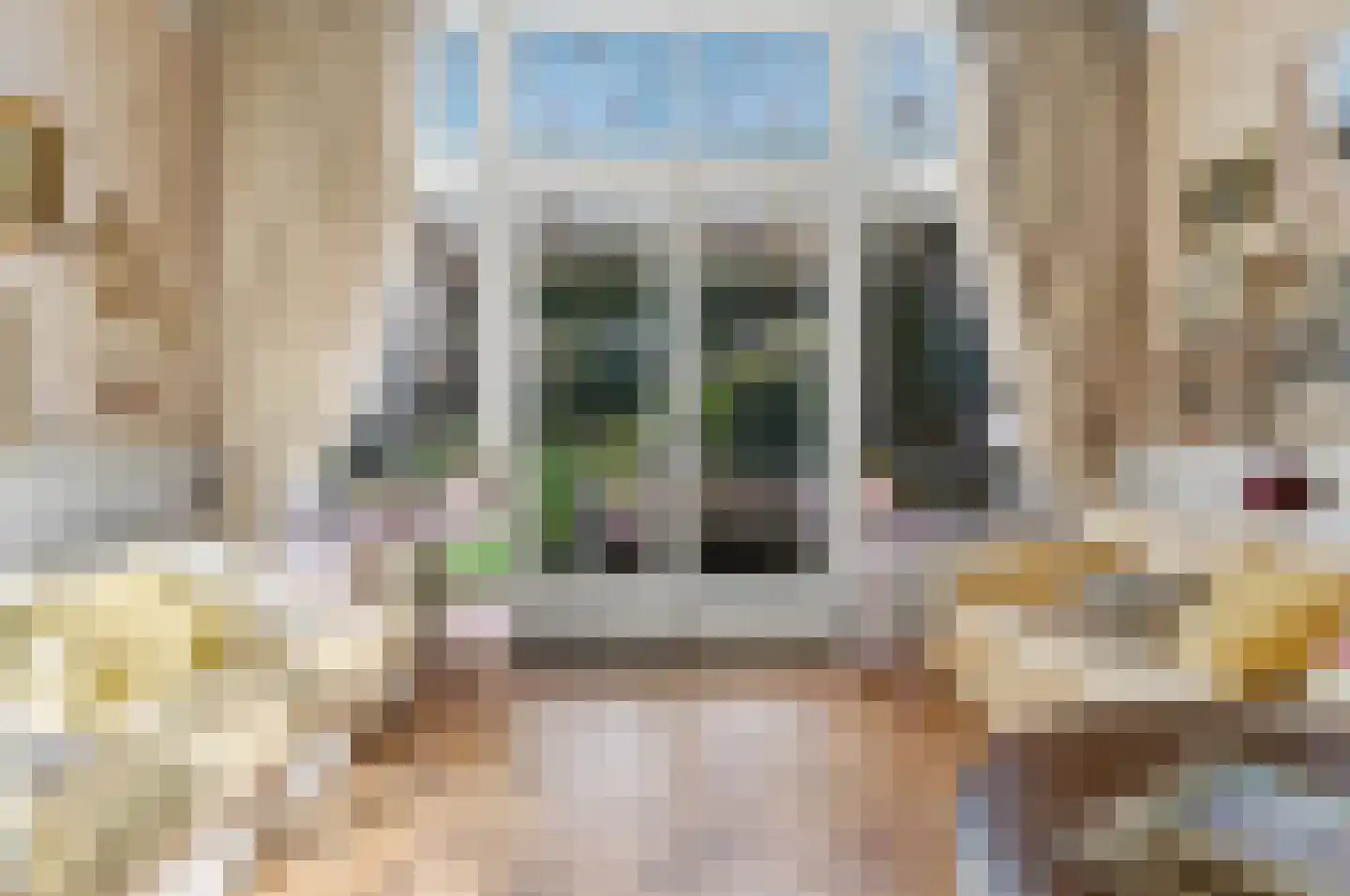 Frederik Hendriklaan 22 Den Haag thumbnail 15
