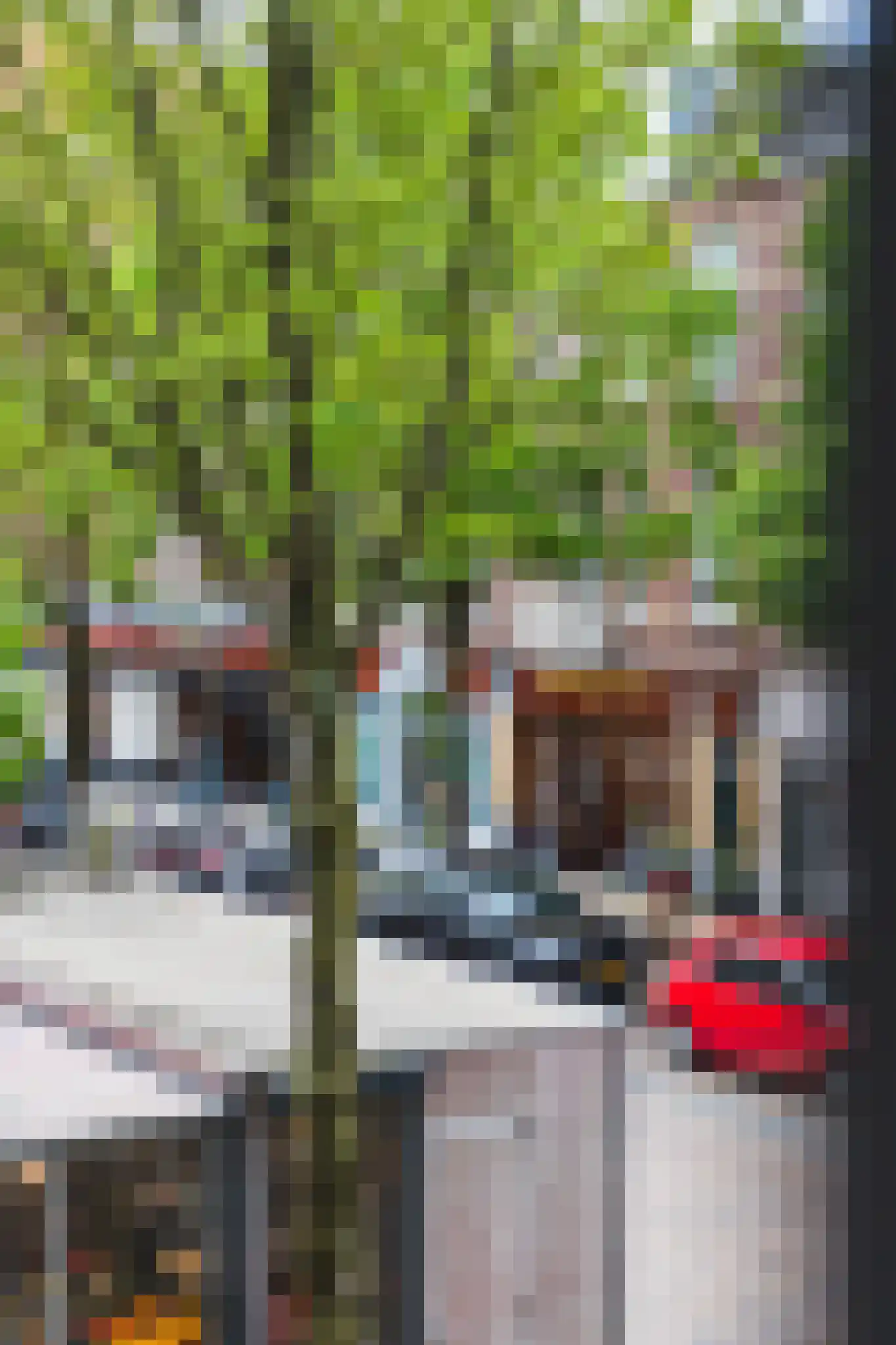 Frederik Hendriklaan 224 Den Haag thumbnail 12