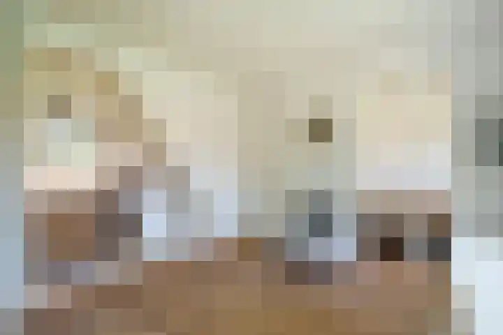 Frederik Hendriklaan 24 Zeist thumbnail 17
