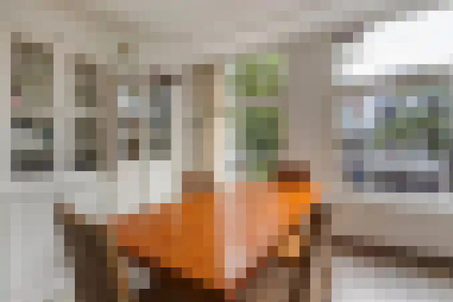 Frederik Hendriklaan 243 Den Haag thumbnail 17