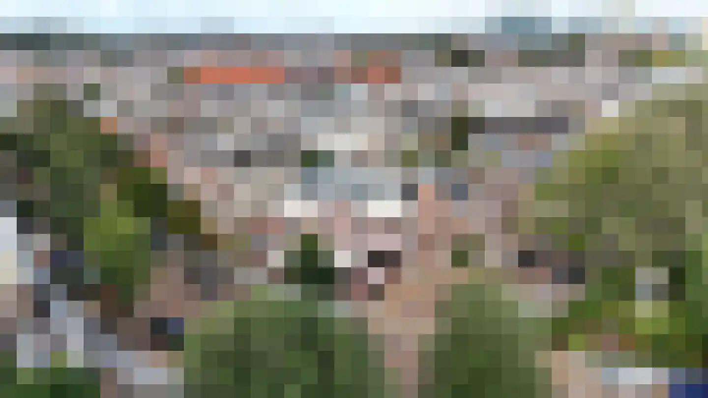 Frederik Hendriklaan 243 Den Haag thumbnail 42