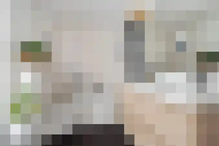 Frederik Hendriklaan 26 Heerenveen thumbnail 34