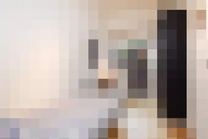 Frederik Hendriklaan 36 D Den Haag thumbnail 20