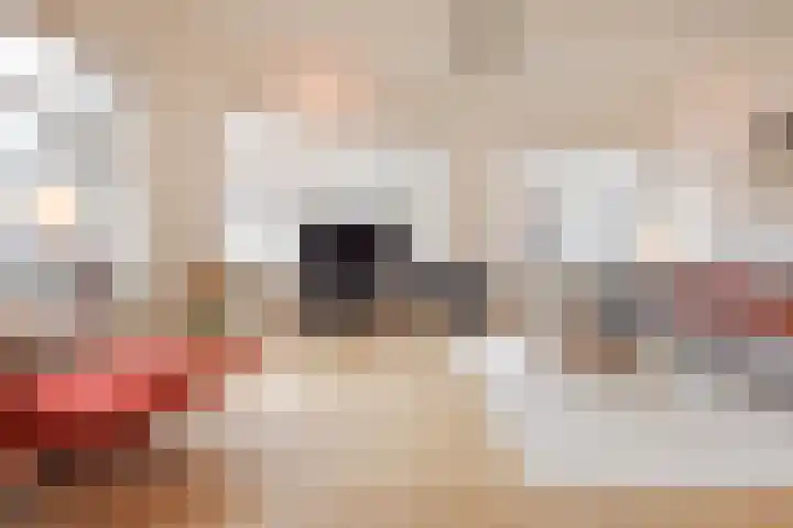 Frederik Hendriklaan 36 D Den Haag thumbnail 6