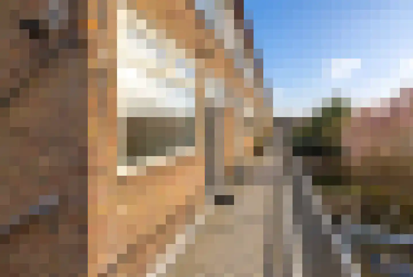 Frederik Hendriklaan 41 Hillegom thumbnail 4