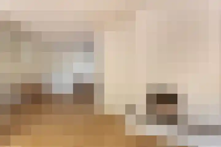 Frederik Hendriklaan 5 Woerden thumbnail 16