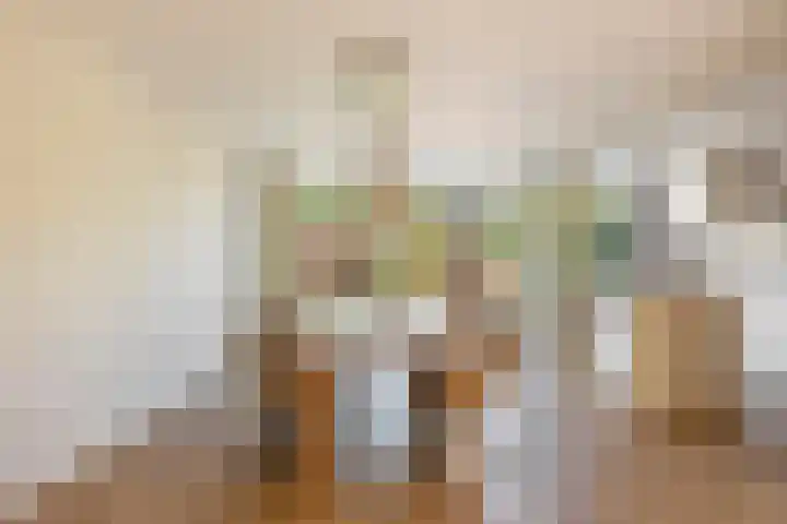 Frederik Hendriklaan 5 Woerden thumbnail 17